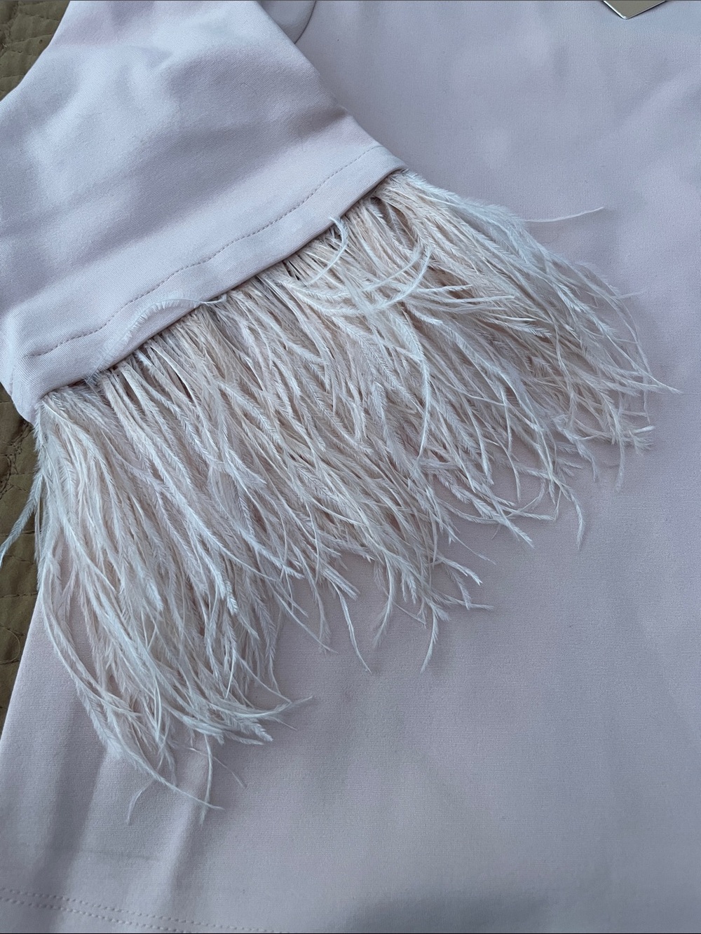 Halogen Feather Trim Top - Pale Pink